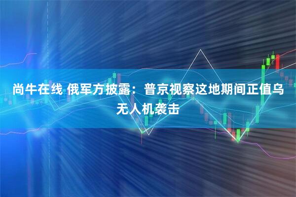 尚牛在线 俄军方披露：普京视察这地期间正值乌无人机袭击
