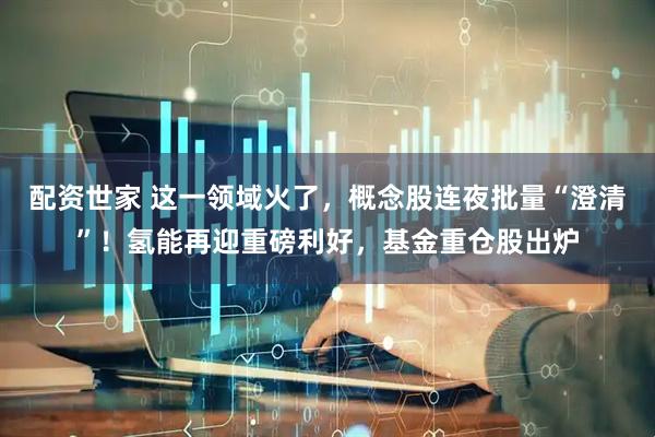 配资世家 这一领域火了，概念股连夜批量“澄清”！氢能再迎重磅利好，基金重仓股出炉