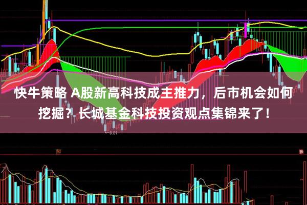 快牛策略 A股新高科技成主推力，后市机会如何挖掘？长城基金科技投资观点集锦来了！