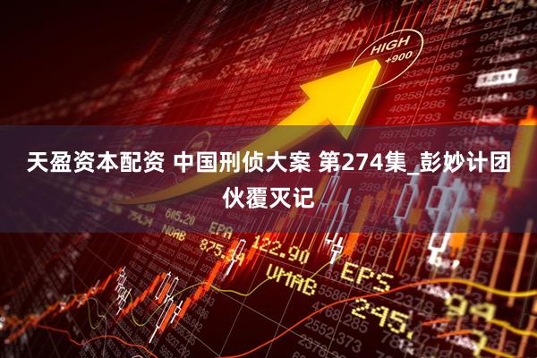 天盈资本配资 中国刑侦大案 第274集_彭妙计团伙覆灭记