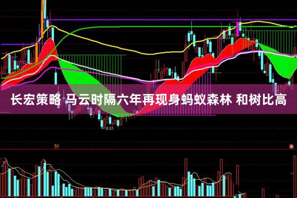 长宏策略 马云时隔六年再现身蚂蚁森林 和树比高