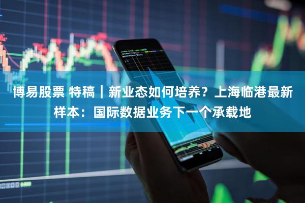 博易股票 特稿｜新业态如何培养？上海临港最新样本：国际数据业务下一个承载地
