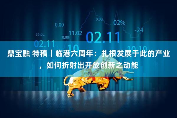 鼎宝融 特稿｜临港六周年：扎根发展于此的产业，如何折射出开放创新之动能